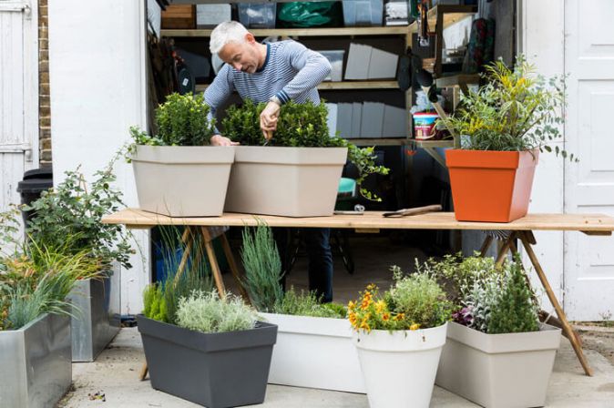 Choosing Plants for Your Balcony Planters