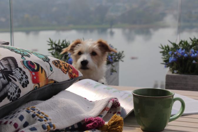 Tall Buildings in London