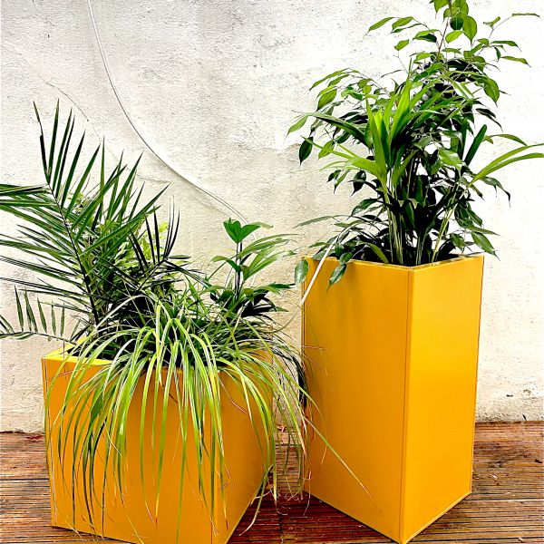 Design